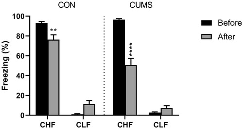 Figure 1. Fear conditioning in Carioca High-conditioned Freezing (CHF) and Carioca Low-conditioned Freezing (CLF) rats. The animals were tested before and 21 days after the CUMS protocol (gray bars) or ordinary handling (CON; black bars). Bars and symbols show the mean ± SEM. **p < .01, ****p < .0001.