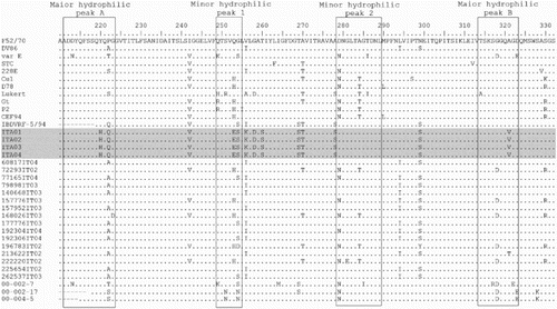 Figure 1. Deduced amino acid sequences of the VP2 hypervariable region of IBDV strains detected in the study (grey box) and reference strains. Only residues that differ from the sequence of the F52/70 are shown.