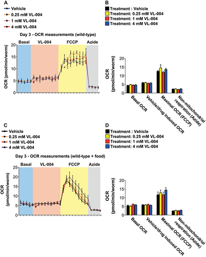 Figure 6. VL-004 does not change worms’ oxygen consumption rate. OCR (oxygen consumption rate) of wild-type worms (day 3 post L1) treated with the following stimulus train: VL-004 (at 0.25 mM, 1 mM, and 4 mM), 10 μM FCCP, and 40 mM azide. The experiments were performed in the absence of bacteria (A) or presence of heat-killed bacteria (C). n = 3, N ≥ 120 worms/per treatment). (B and D) OCR Quantification. Basal, vehicle/VL-004 treatments, maximal (FCCP), and non-mitochondrial (azide) are presented. Asterisks indicate significance compared with the vehicle treatment (maximal OCR comparison). *p < 0.05.