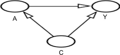 Figure S2 Directed acyclic graph for the association of FT4 with atrial fibrillation (AF) → corresponds to Table 3, model 1.Notes: A=FT4, Y=AF, C=age, sex, cohort, smoking, alcohol, and time between measurements, (large) waist circumference (WC). Effect modification of FT4 by WC (interaction FT4WC P<0.05) on Y.