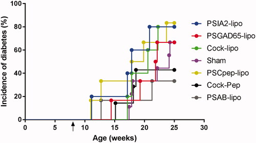 Figure 1. T1D incidence in NOD mice treated with PS-liposomes filled with different autoantigenic peptides. Cumulative incidence (percentage) of T1D in NOD mice treated with IA2 liposomes (PSIA2-lipo, blue, n = 5), GAD65 liposomes (PSGAD65-lipo, red, n = 6), C-peptide liposomes (PSCpep-lipo, yellow, n = 6), insulin liposomes (PSAB-lipo, grey, n = 6), a mixture of all liposomes (Cock-lipo, green, n = 5) and a mixture of all non-encapsulated peptides (Cock-Pep, black, n = 7). A sham group was also included (violet, n = 9). The arrow indicates the time-point of the single-dose administration (at 8 weeks). No significant differences in T1D incidence were found between groups (Mantel-Cox Log-Rank). PSIA2-lipo: IA2 liposomes; PSGAD65-lipo: GAD65 liposomes; Cock-lipo: a mixture of all liposomes; PSCpep-lipo: C-peptide liposomes; Cock-Pep: a mixture of all non-encapsulated peptides; PSAB-lipo: insulin liposomes.