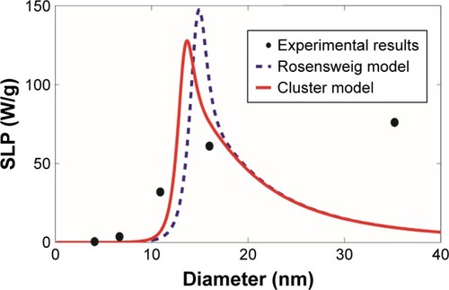 Figure 4 Comparison with the experimental results of magnetite Fe3O4 magnetic nanoparticles.Notes: The SLP values were computed as a function of the magnetic nanoparticle diameter, based on our revised cluster-based model (red solid line) and the Rosensweig model (blue dashed line), using the experimental results and parameters reported by Lartigue et alCitation23 (black filled circle). The experimental results and parameters used in the theoretical calculations are summarized in Table 1: magnetite Fe3O4, magnetic anisotropy constant Ka =21 kJ/m3, domain magnetization of monomers Mdm=446 kA/m, alternating magnetic field frequency f=168 kHz, alternating magnetic field amplitude H0=21 kA/m, viscosity of the carrier fluid (water) η=0.0007 kg/m/s, temperature T =300 K, and critical temperature T* =358 K.Abbreviation: SLP, specific loss power.