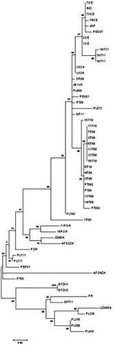 Figure 3. Phylogenetic analysis of 20 deducted amino acid cp sequences of BFDVs obtained from African grey parrots: 20 Italian strains and 28 BFDV NCBI reference sequences are included in this analysis. The tree showed close correlations between viral strains of birds from the same breeding centres (a and b).