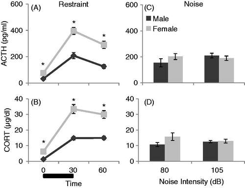 Figure 6. The effect of sex and type of stress on HPA axis responses in the same male and proestrus female rats (given restraint, then 80 dB noise, then 105 dB noise) is displayed in Figure 6. Black bar represents 30 min of restraint stress. *: p < 0.05 compared to male rats at the same time point. (A) Restraint significantly increased ACTH concentrations in all animals, and female rats had significantly higher basal and stress-induced ACTH levels compared to males. (B) Restraint also increased CORT concentrations significantly. Females had significantly higher CORT levels at every time point compared to males. (C) There were no significant differences in ACTH levels due to either sex or noise intensity. (D) No effect of sex or noise intensity on CORT concentrations was observed.