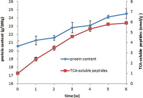 Figure 2. Profiles of protein concentration and TCA-soluble peptides during the fermentation of Suanyu. Bars indicate the standard deviation from triplicate determinations.