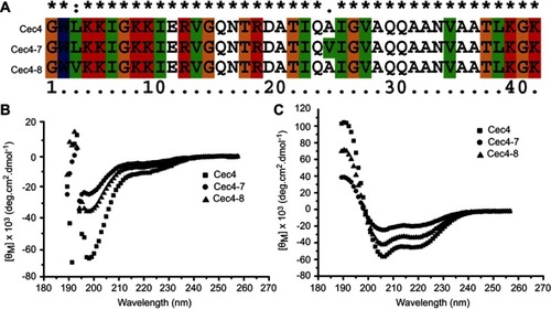 Figure 1 Sequence alignment and circular dichroism (CD) spectra of peptides. (A) Multi-sequence alignment of peptides performed using ClustalW (http://embnet.vital-it.ch/software/ClustalW.html). CD spectra of Cec4, Cec4-7, and Cec4-8 in PBS (B) and the microbial membrane-mimicking environment (25 mM SDS micelles solution) (C).