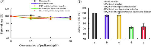 Figure 7. Adhesion rate of A549 cells on Matrigel after incubation with the varying formulations. Notes: (A) Cellular survival rate of A549 cells after incubation with the varying formulations for 12 h. (B) Adhesion rate of A549 cells on Matrigel. p < .05.