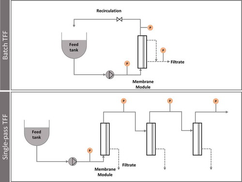 Figure 4. Comparison of traditional configuration batch TFF with single-pass TFF, where the recirculation loop is eliminated.
