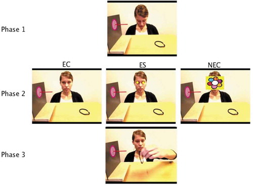 Figure 1. The manipulation phases for each of the conditions EC, ES and NEC. Conditions across children only differed in phase 2.