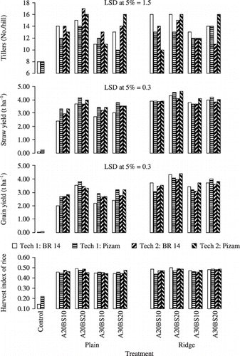 Figure 4  Influence of the two different techniques, and the basic slag (BS) and aggregate size (A) treatments on the growth and yield performance of rice grown in acid sulfate soil under field conditions. LSD, least significant difference.
