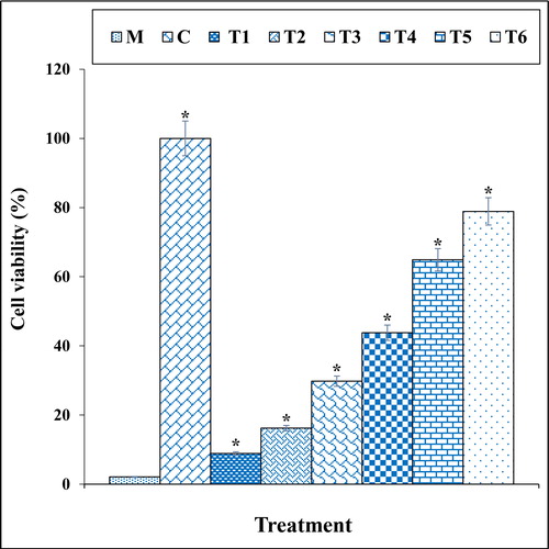 Figure 6. The cell viability of different treatments after 48 h.M: Methadone, C: Control, T1: 100μM methadone and 2μg of Cu(NO3)2, T2: 100μM methadone and 4μg of Cu(NO3)2, T3: 100μM methadone and 2μg of N. sativa, T4: 100μM methadone and 4μg of N. sativa, T5: 100μM methadone and 2μg of CuNPs, T6: 100μM methadone and 4μg of CuNPs.*indicate the significant difference (p ≤ 0.01) between experimental groups with methadone group.