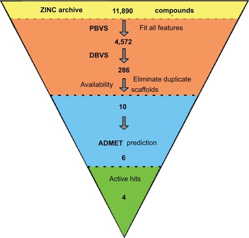 Figure 2 Virtual screening protocol for the identification of novel PKM2 activators.