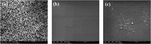 Figure 10. SEM images of R420 TiO2 filler (a), pure XLR film (b) and XLR+35 wt.% R420 TiO2 film (c).