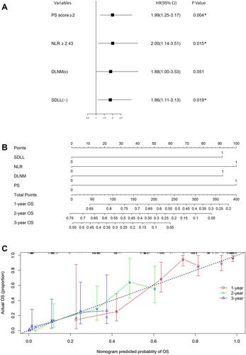 Figure 6 The independent prognostic factors and nomogram model for leptomeningeal metastasis. (A) Multivariate analysis showed NLR together with PS, DLNM, and SDLL were independent survival factor for leptomeningeal metastasis. (B) Establishment of a nomogram to predict the likelihood of 1-, 2- and 3-year survival. To use the nomogram, the value attributed to an individual patient is located on each variable axis, and a line is drawn upwards to determine the number of points received for each variable value. The sum of these numbers is located on the total points axis, and a line is drawn downward to the survival axis to determine the likelihood of 1-, 2- and 3-year survival. The 0 and 1 values of SDLL represented yes and no, respectively. The 0 and 1 values of NLR represented < 240 and ≥ 240, respectively. The 0 and 1 values of DLNM represented no and yes, respectively. The 0 and 1 values of PS represented < 2 and ≥ 2, respectively. (C) the calibration curve for OS at 1-, 2- and 3-year.