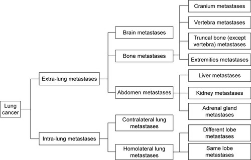 Figure 1 Organ metastases.