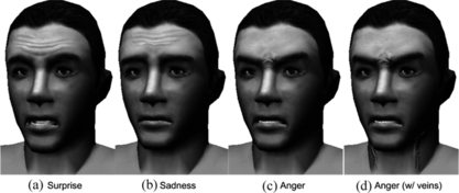 FIGURE 1 Expressions of (a) surprise, (b) sadness, and (c and d) anger using wrinkles.