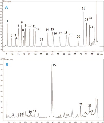 Figure 2. HPLC chromatograms of A: standard phenolic compounds; and B: the methanolic extract of S. syriaca. Standard phenolics used for analysis are 1: gallic acid, 2: protocatechuic acid, 3: (+)-catechin, 4: p-hydroxybenzoic acid, 5: chlorogenic acid, 6: caffeic acid, 7: (-)-epicatechin, 8: syringic acid, 9: vanillin, 10: p-coumaric acid, 11: ferulic acid, 12: sinapic acid, 13: benzoic acid, 14: o-coumaric acid, 15: rutin, 16: naringin, 17: hesperidin, 18: rosmarinic acid, 19: eriodictyol, 20: trans-cinnamic acid, 21: quercetin, 22: luteolin, 23: kaempferol, and 24: apigenin.