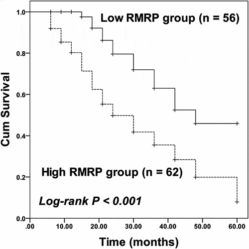 Figure 2. Kaplan-Meier curve of ESCC patients with different RMRP expressions. Patients with high RMRP expression possessed poorer survival than patients with low RMRP expression. Log-rank P < 0.001