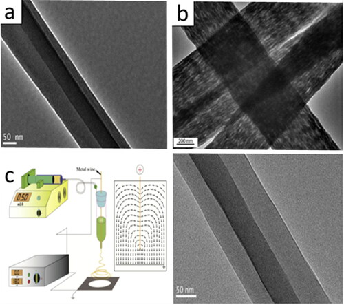 Figure 6. (a) TEM image of PVP/PVDF core-shell nanofibers via electrospinning (PVDF/PVP = 1/3) (adapted from [Citation78]); (b) TEM image of highly porous PAN fibers by electrospinning into non-solvent bath (adapted from [Citation80]); (c) schematic showing the electric field induced phase separation during electrospinning and the core-shell PEO/HA fibers (adapted from [Citation82]).