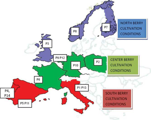 FIGURE 1 Geographical distribution of the partners in the three main EU climatic areas (color figure available online).