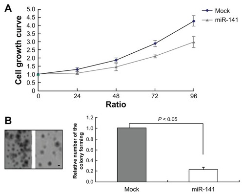 Figure 3 miR-141 reduced cell growth and colony formation. (A) Growth kinetics of mock 769-P cells and miR-141-overexpressing 769-P cells, using MTT assay (P < 0.05). (B) Colony-forming assay of mock 769-P cells and miR-141- overexpressing 769-P cells.