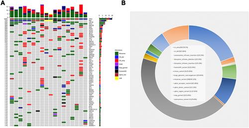 Figure 1 Mutation landscape of SCLC. (A) Genomic alteration profiling. X axis is specific specimens and Y axis is the detected mutations for a different gene. The percentage of mutation of a specific gene in total patients. (B) Distribution of mutations in SCLC.