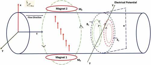 Figure 1. Schematic view of applied magnetic field and induced electric fields in flow direction.