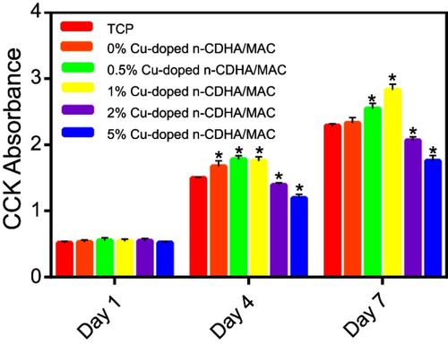 Figure 6 CCK assay showing the cell growth of rat BMSCs cultured with different Cu-doped n-CDHA/MAC composite scaffolds at day1, day 4 and day 7. * means significant difference between Cu-doped groups and control group (TCP) (p<0.05).Abbreviations: CCK, cell count kit; BMSCs, bone marrow stromal cells; TCP, tissue culture plate; n-CDHA/MAC, nano calcium-defcient hydroxyapatite/multi(amino acid) copolymer.