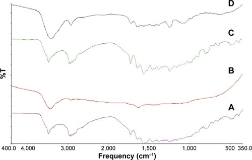Figure 7 FTIR spectra of RIF (A), PVA (B), their physical mixture (C), and RIF NS (F5) (D).Abbreviations: FTIR, Fourier transform infrared spectroscopy; RIF, rifampicin; NS, nanosuspension; PVA, polyvinyl alcohol; T, transmittance.