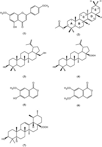 Figure 1. Chemical structures of the isolated compounds (1–6) and ursolic acid (7).
