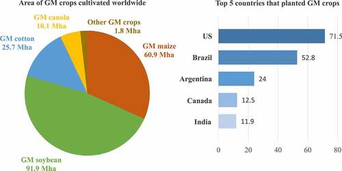 Figure 2. Highlights of GM crop cultivation worldwide in 2019.