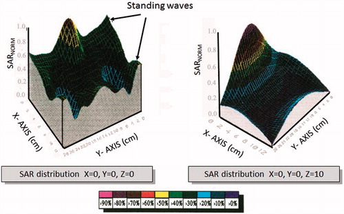 Figure 9. SAR distributions for antenna-dielectric media distance d = 3 cm (case II).