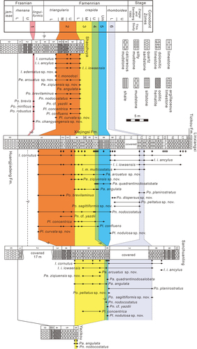 Figure 6. Conodont succession of the studied area and correlation between the Shaozhuya, Linxiangxi, Sanchuanling and Yazikou sections. Conodont zones: 1. Polygnathus brevis - Polynodosus changyangensis sp. nov. Assemblage Zone, 2. Icriodus cornutus - Pelekysgnathus arcuatus sp. nov. - Polygnathus brevilaminus Assemblage Zone, 3. Palmatolepis angulata Zone, 4. Palmatolepis angulata - Palmatolepis quadrantinodosalobata Assemblage Zone, 5. Palmatolepis quadrantinodosalobata Zone, 6. Polygnathus planirostratus Zone. Question marks represent unclear and speculated boundaries due to lack of conodont record. Black and white arrows indicate the sampling position with and without conodont specimens respectively.
