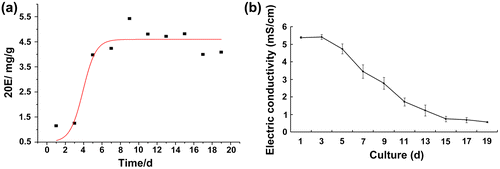 Fig. 2. Dynamic changes in cell suspension electric conductivity and 20E content.