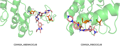 Figure 11 The three-dimensional structures of the candidate drugs and key genes based on molecular docking.