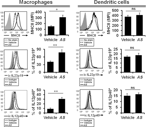 Figure 1. AS-derived extract induces the expression of MHC class II, IL12, and IL23 in macrophages rather than peripheral DCs.Note: DO11.10 Balb/c mice were intraperitoneally injected with OVA peptide323–339 (100 µg) plus either vehicle or AS extract (4 µg) three times a week for two weeks. Splenocytes were prepared from both vehicle- or AS extract-treated mice after immunization. Both the MHC class II cell surface and intracellular IL12p40/IL23p19 production levels were measured on macrophages (gated on F4/80+CD11b+CD11c- population) or DCs (gated on CD11c+ population) by flow cytometry. Data are shown as the means ± SD (n = 3; *P ≤ 0.05; **P ≤ 0.01).