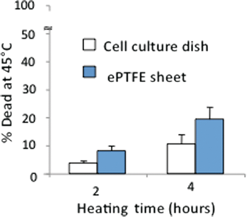 Figure 3 Differential survival of heated cells on collagen-coated ePTFE sheets and tissue culture dishes. Cells were cultured at 37°C until they reached confluence on either surface. The percentage of cell death detected after 2 or 4 h at 45°C was almost double on ePTFE sheets compared to tissue culture dishes. The percentage of cell death at 37°C was very low (near zero) on both surfaces.