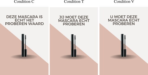 Figure 1. Three versions of an advertisement for mascara. Condition C: “This mascara is really worth trying”; Condition T and V: “You (T/V) really need to try this mascara”.