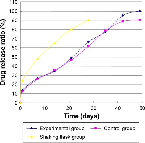 Figure 12 Drug release of bFGF-PLGA MS during degradation in shearing force loading experiment.