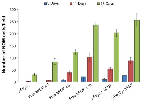 Figure 10 Quantitative analysis of the NOM cells migrated from the cells/nonconjugated or bFGF-conjugated nanoparticles/MCs aggregates and from the cells/different concentrations of the free factor/MCs aggregates (same concentration as the conjugated factor and 5 and 10 times higher), 5, 11, and 18 days after the cultivation of the cell aggregates in the magnetic fibrin hydrogel scaffolds. The reported values are an average of measurements performed on at least three randomly nonoverlapping fields of each triplicate tested culture.Note: ~ and – are symbols for physical and covalent bindings, respectively, of the bFGF to the γ-Fe2O3 nanoparticles.Abbreviations: bFGF, basal fibroblast growth factor; MC, chitosan microcarriers; NOM, nasal olfactory mucosa.