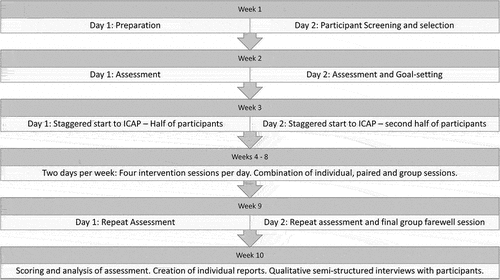 Figure 1. ICAP schedule aligned with 10-week placement schedule.