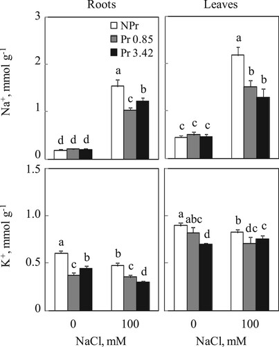 Figure 2. Sodium and potassium contents in roots and leaves of tomato. Plants were grown as described in the legend of Figure 1. Mean of six plants and confidence interval for P = 0.05. Mean values with the same letter in each panel are not significantly different at P = 0.05 (ANOVA and mean comparison with Newman-Keuls post hoc test).
