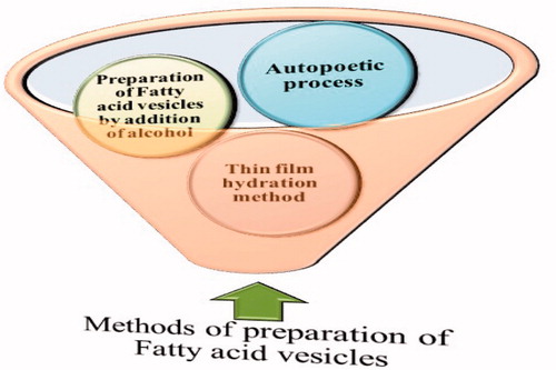 Figure 2. Methods of preparation of Fatty acid vesicles. The thin-film hydration is most widely used technique for the purpose (modified from Zakir et al. Citation2011).