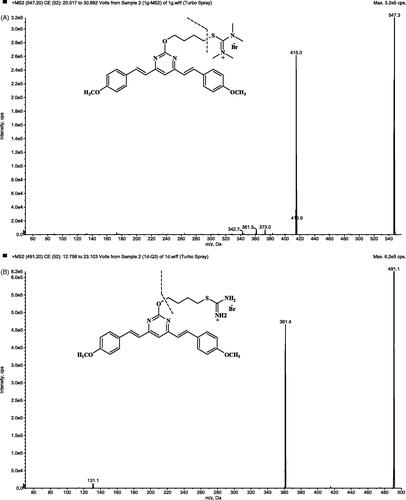Figure 3. Product ion mass spectrum of 1G (A) and IS (B).