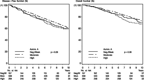 Figure 2. Kaplan-Meier survival curves demonstrating DFS (A) and OS (B) for patients with high, moderate and negative/weak Aurora A expression. p values are procured from log-rank testing.