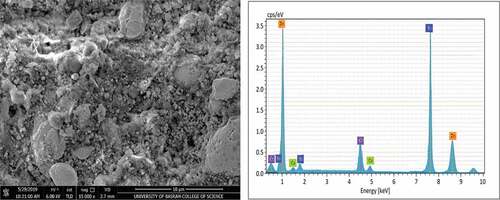 Figure 7. SEM micrograph and EDS analysis for coating sample 3 after application