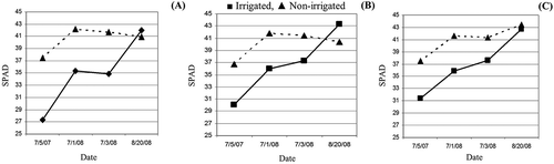 Figure 4. Effect of irrigation on SPAD value (a) 0 m VFSW, (b) averaged over 0.6 and 1.2 m VFSW, and (c) averaged over 2.4, 3.0, and 3.6 m VFSW at various sampling dates, Jackson Springs, NC in 2008.