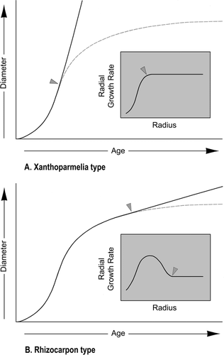 Figure 1 Hypothetical age-size curves for fast-growing and slow-growing lichen genera, constructed at the beginning of the study (CitationBenedict, 1985: Fig. 44). Shaded boxes show radial growth rates. Triangles mark the transitions from sigmoidal to linear growth, predicted to occur when the radius of the thallus first equals the width of the peripheral growth zone. In the absence of a linear phase, growth will continue to follow the sigmoidal course indicated by the dashed lines.
