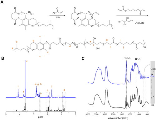 Figure 1. Synthesis and characterization of TPGS-PBTE. (A) Synthetic scheme of TPGS-PBTE. (B) 1H NMR and (C) FTIR spectra of TPGS (black) and TPGS-PBTE (blue).