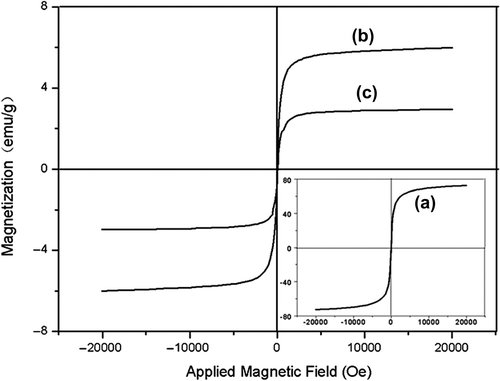 Figure 4. Magnetic hysteresis loops taken at 300 K for (a) MNPs, (b) FMNPs, and (c) FMNPs-BSA.